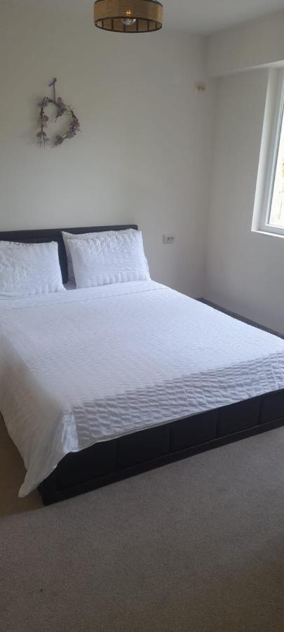 Pliska Apartment Montana Dış mekan fotoğraf